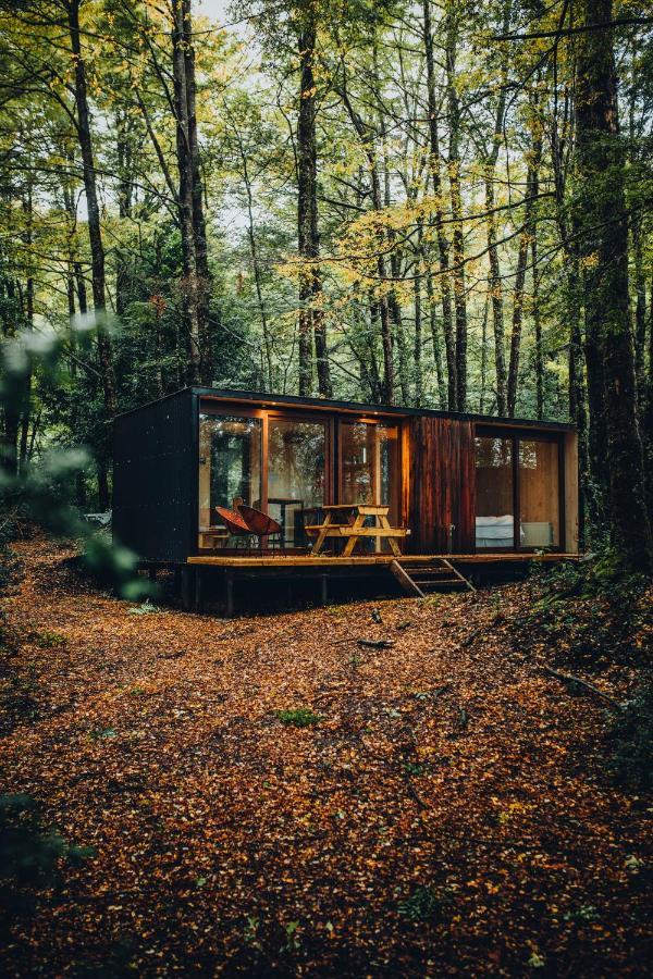 Outscape L Refugios Puerto Fuy, Huilo Huilo Villa Eksteriør billede